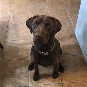 Meet your Posher, Anahi